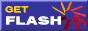 Get Flash 4.0 Now!